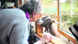 Longford Community Time Machine Project links up older citizens with young