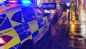 Longford gardaí arrest motorist who produced driving licence believed to be false and impound vehicle