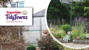 Longford among the awards at SuperValu Tidy Towns competition 