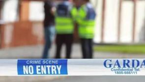 Gardaí in midlands investigating second serious assault and urge people not to share video footage of incident  