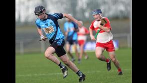 Leinster Club Junior Hurling Championship: No joy for Longford Slashers as they are defeated by Trumera of Laois 