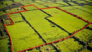 Superb seventy acre Longford farm goes under the virtual hammer