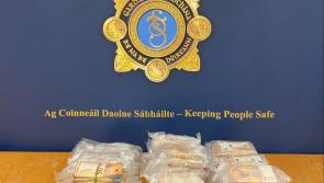 Three men arrested after Gardaí seized a cash sum of €414,000