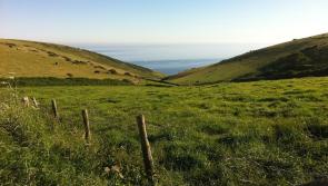 Ireland receives €5.7million in EU funding to conserve unique machair habitats