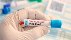 Case of Omicron variant of Covid-19 confirmed in Ireland