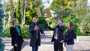 Longford company receives branding boost from TUS digital marketing students 
