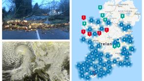 ESB warns households to plan for  Storm Barra power cuts 