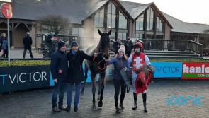 Nolan has new Cheltenham hope after devastating death of stable star 