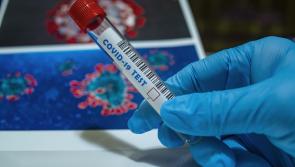 Six confirmed cases of Omicron in Ireland as latest Covid figures  released