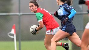 Longford Intermediate champions Colmcille fall at the final hurdle in Leinster
