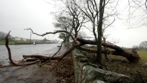 Met Éireann issues status yellow wind warning for seven counties
