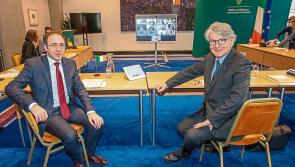 Longford-Westmeath TD announces dedicated rescue process for small companies

