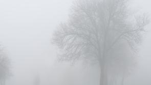 WEATHER ALERT: Met Éireann issues Status Yellow fog warning for Longford and eleven other counties