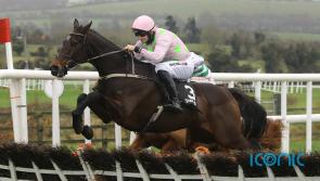 Willie Mullins star Sharjah could make history at Leopardstown this week 