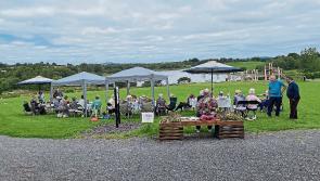 Longford Leader gallery: Rath Mhuire & Dolmen face Covid challenges and engaged in a range of 2021 projects 