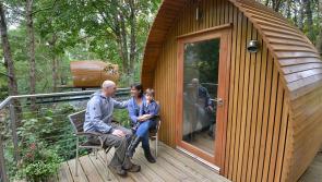Planning permission refused for ambitious Longford glamping tourism development 