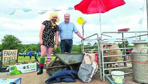  Ballinalee Pony Show and parade proves a huge success