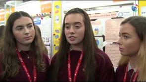 WATCH |  Ballymahon students survey 100 farmers as part of their project for 55th BT Young Scientist & Technology Exhibition #BTYSTE