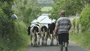 Farm fatalities unacceptably high in 2020