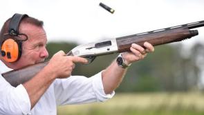 Guns stolen in Midlands burglary