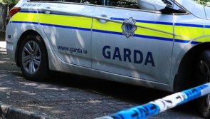 Gardai search three areas in Longford as part of Kevin Lunney investigations