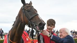 What a story! Irish horse bought for €850 wins American Grand National