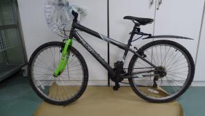 Gardai appeal for information on 'distinctive' bike as investigation into Ashling Murphy murder continues