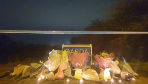 Houses in Offaly and Dublin searched as new suspect emerges in Ashling Murphy murder probe