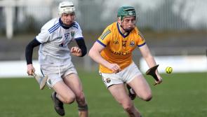 Longford hurlers lose out to Wicklow in the Kehoe Shield 

