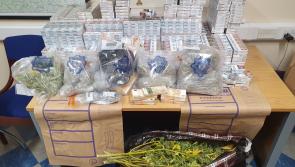 Cash, suspected cannabis herb, cannabis plants and illegal cigarettes seized in Arva