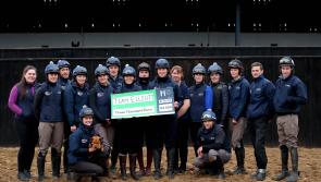 Gordon Elliott's stable staff among winners award from welfare council  