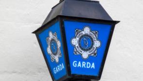 Two men arrested after €220,000 drug seizure 