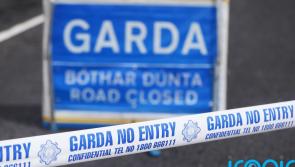 Two Gardai in hospital after driver crashes into patrol car