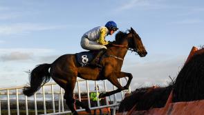 Horse racing tips for Saturday's card at Naas 