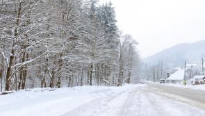Met Éireann issues alert for 'multi-hazard and disruptive event' Storm Eunice with snow possible