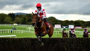 RACING: Tips and analysis for Sunday's card at Navan 