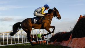 Tips and analysis for Sunday’s card at Naas