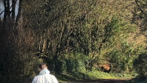 Attack on lone Garda shines light on rural policing practice