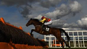 RACING: Top tips for Sunday's card at Leopardstown 