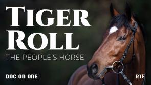 Documentary to tell the story of Ireland's Grand National hero Tiger Roll