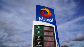 Plan to cut fuel costs to be discussed by Government today 