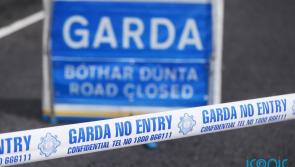 Two people have died following early morning Roscommon crash