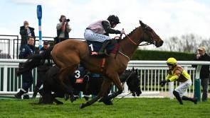 Bob Olinger wins dramatic opening race at Cheltenham on St Patrick's Day