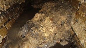 Here's what not to pour down your sink to avoid 'fatbergs' 
