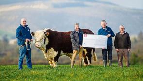Longford Leader Farming: Former rugby legend backs campaign to secure Midlands hospice 
