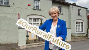 Newly announced €15 million fund to benefit  Longford Community Centres