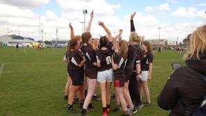 Longford RFC bow out in plate semi-final
