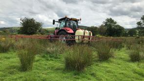 Pesticide detected in Longford central drinking water supply