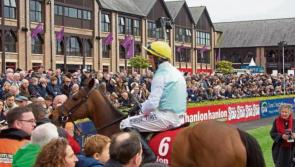 PUNCHESTOWN TIPS: All the best bets for Day 5 - Saturday, April 30 