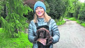 At Your Service Sweepstakes: Huge fundraiser for Longford's Laura Gilmore